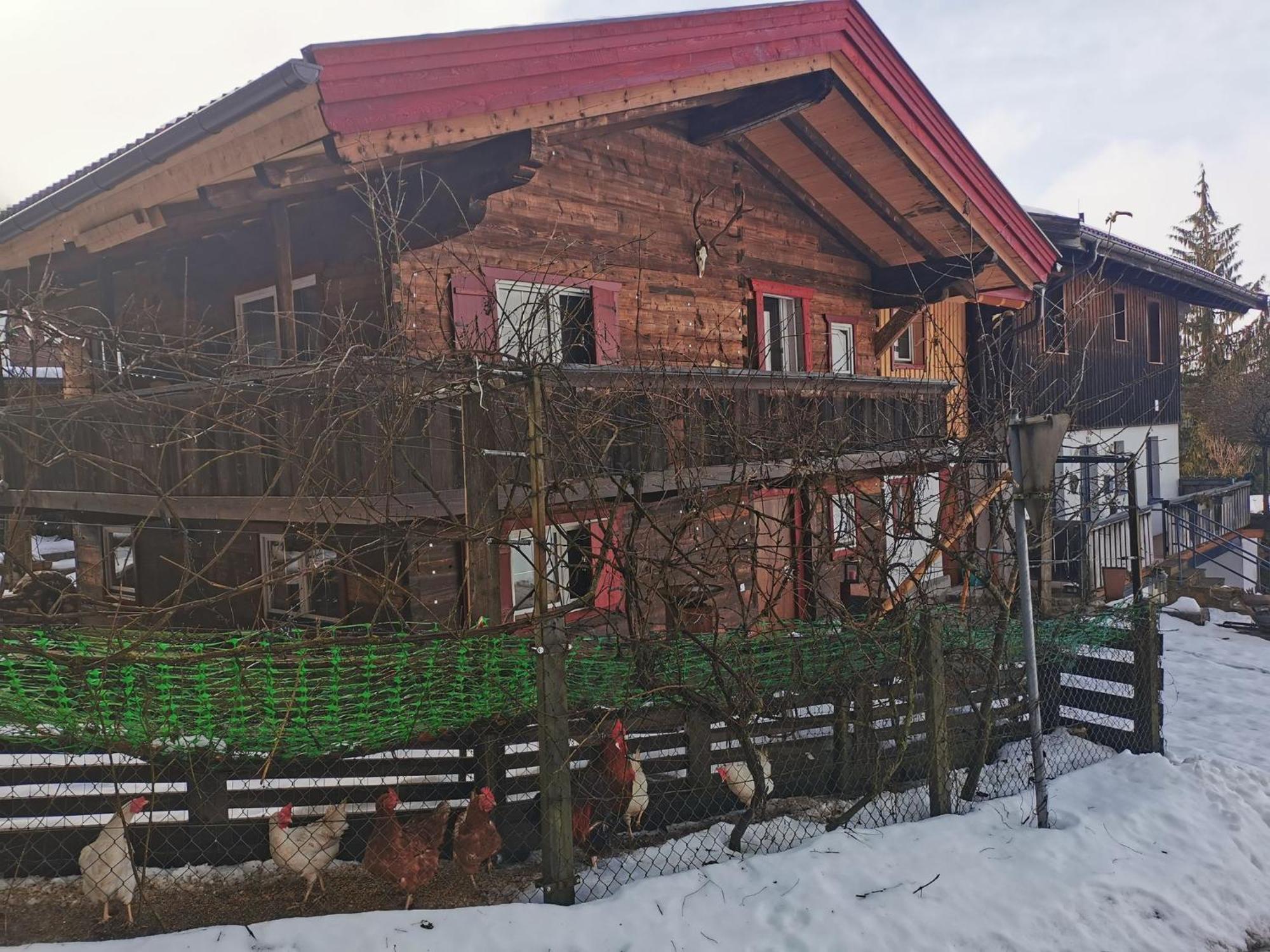 Kaiserhaus Harald Astner Ebbs Studio 2 Bagian luar foto